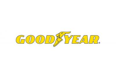 Goodyear Assurance WeatherReady Tires Review